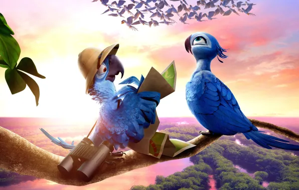 Picture birds, graphics, cartoon, parrot, panorama, binoculars, entertainment, RIO 2