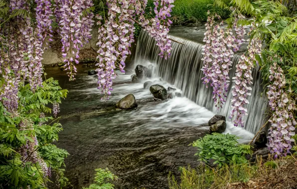 Picture river, waterfall, spring