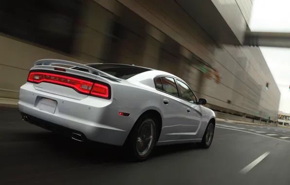Picture white, Auto, The city, Sedan, Dodge, Charger, In Motion