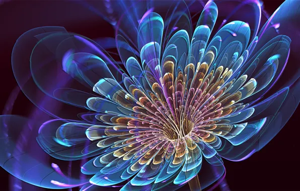 Picture flower, blue, petals, art, art
