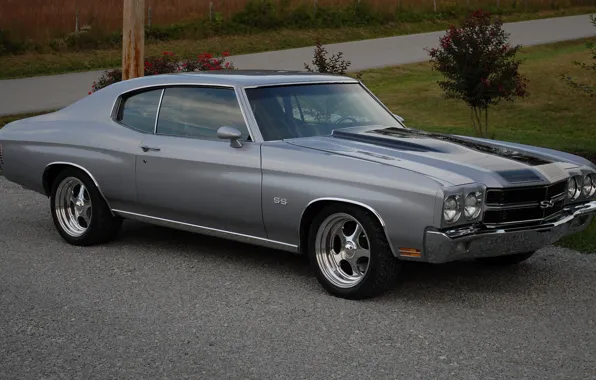 Picture Chevrolet, 1970, Chevelle