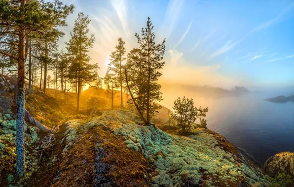 Picture sky, landscape, nature, sunset, water, lake, sun, mist