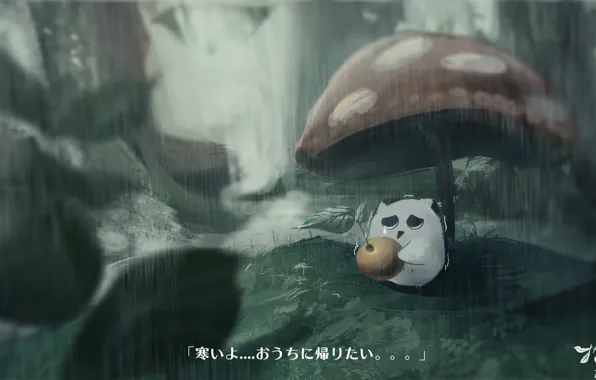 Picture rain, mushroom, cherry, owlet, sad