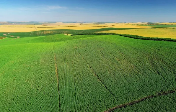 Picture field, spring, field, spring, Moldova, Moldova