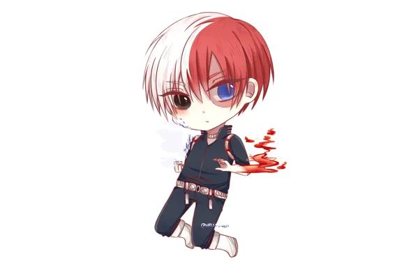 Picture boy, My Hero Academia, Boku No Hero Academy, Todoroki Shoto, My Hero Academy