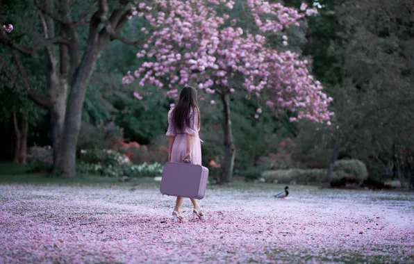 Picture girl, nature, Park, back, spring, brunette, suitcase, flowering