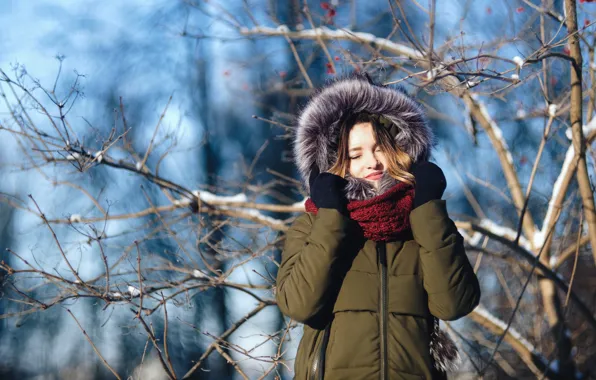 Picture winter, girl, light, snow, branches, tree, scarf, hood