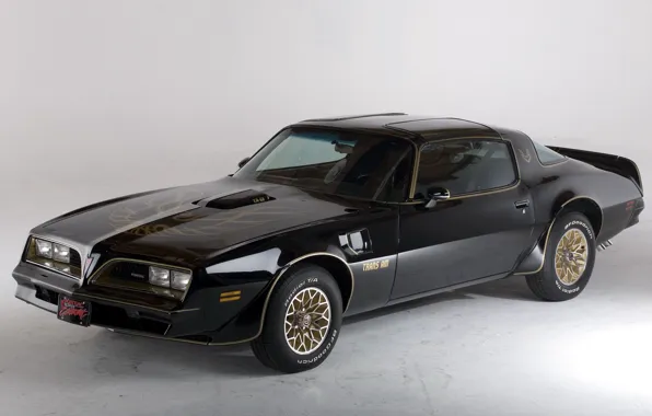 Picture retro, bandit, pontiac, Pontiac, 1978, trans am, bandit, Firebird