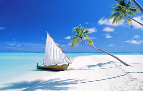 Picture beach, palm trees, the ocean, boat, island, sail, The Maldives