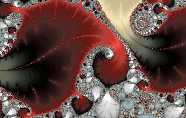 Picture leaves, line, pattern, petals, fractal