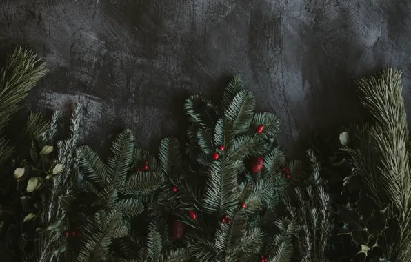Picture branches, berries, holiday, spruce, New year