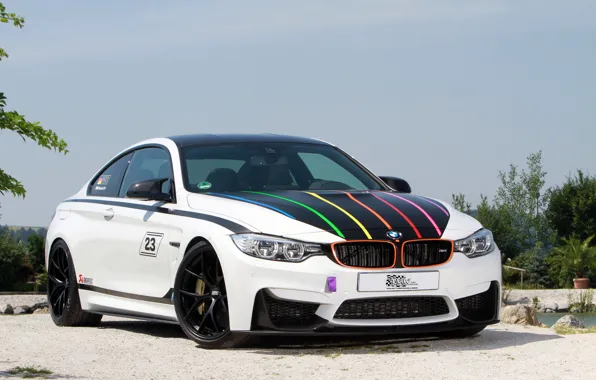 Picture BMW, BMW, F82, 2014, DTM Champion Edition