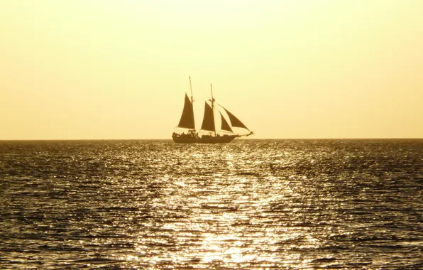 Picture sea, the sun, the way, ship, sails, yellow
