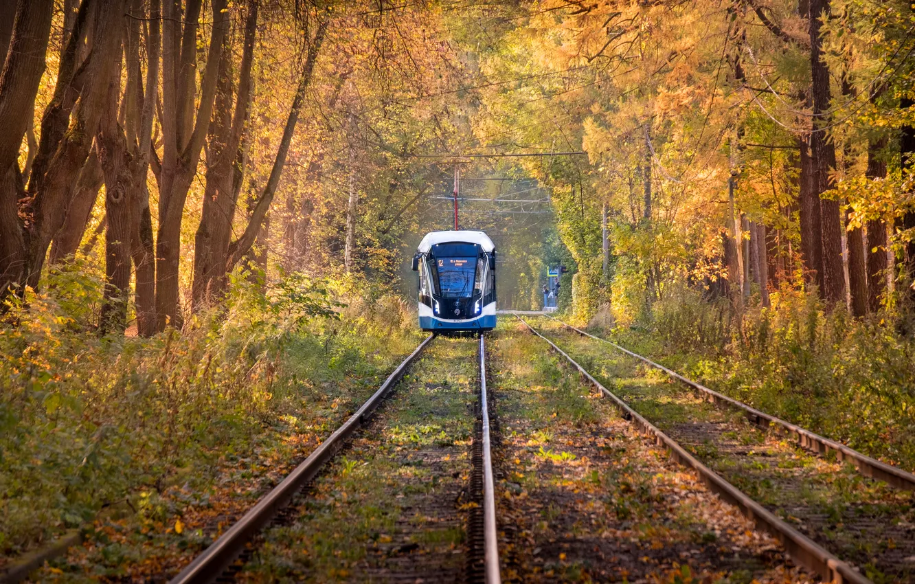 Photo wallpaper metal, trees, autumn, foliage, train tracks