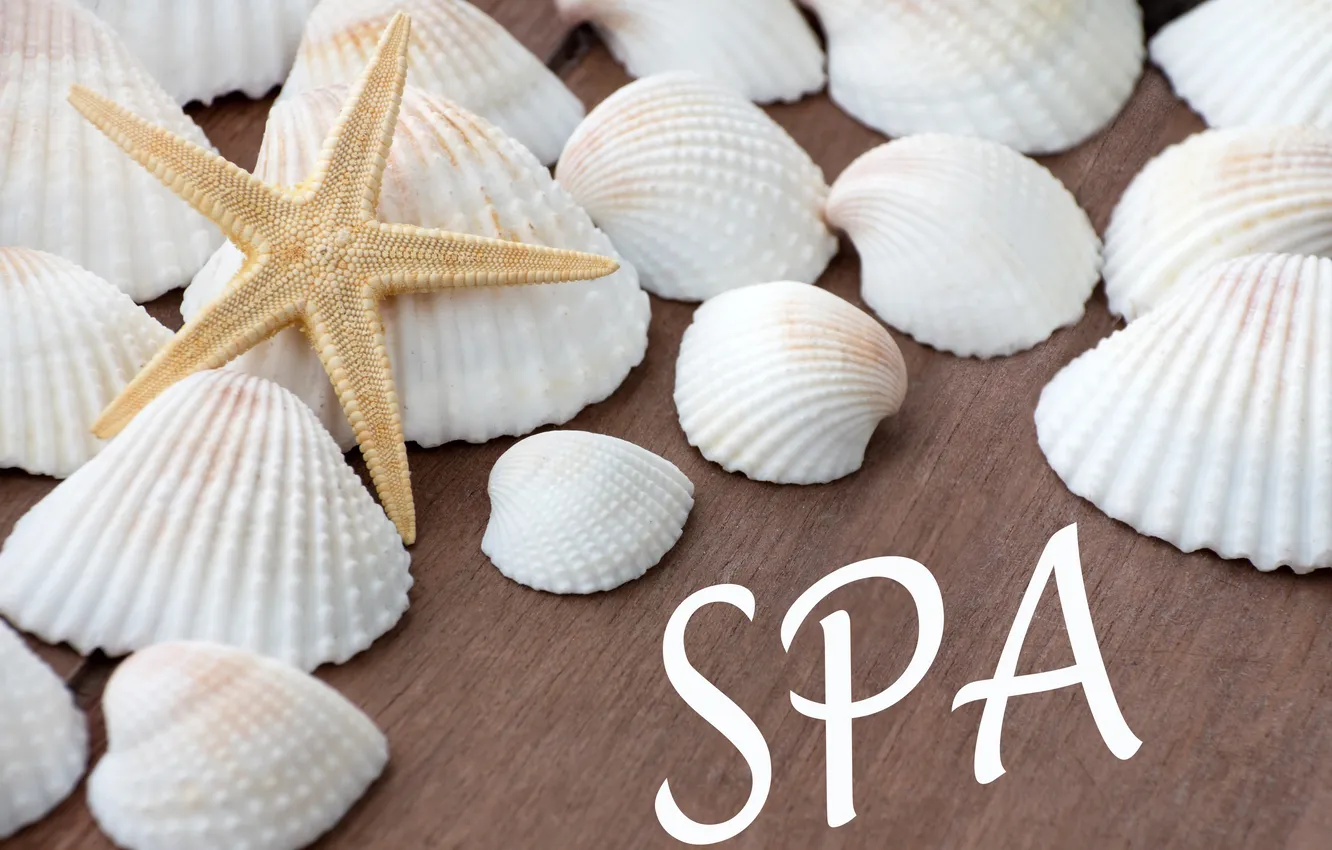 Photo wallpaper relax, still life, spa, starfish, seashells, wellness