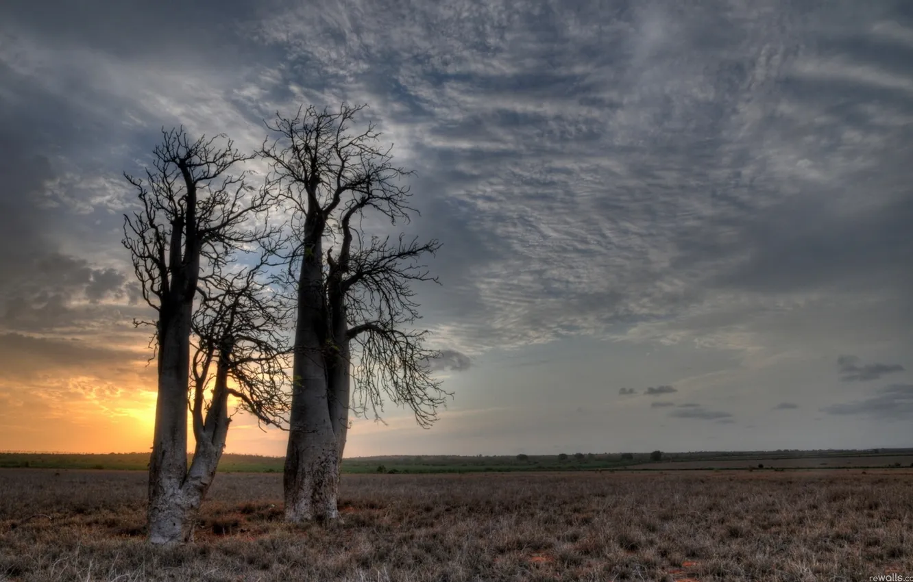 Photo wallpaper nature, sunset, cloud