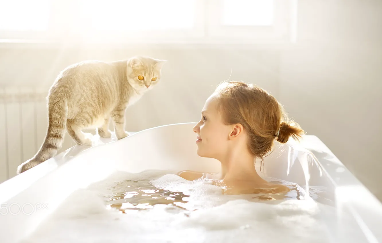 Photo wallpaper cat, cat, look, foam, girl, rays, light, face