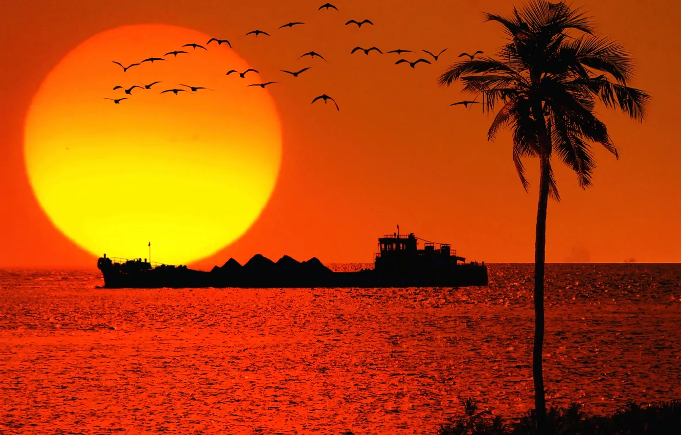 Photo wallpaper sea, the sun, sunset, birds, Palma, ship, tanker, silhouettes
