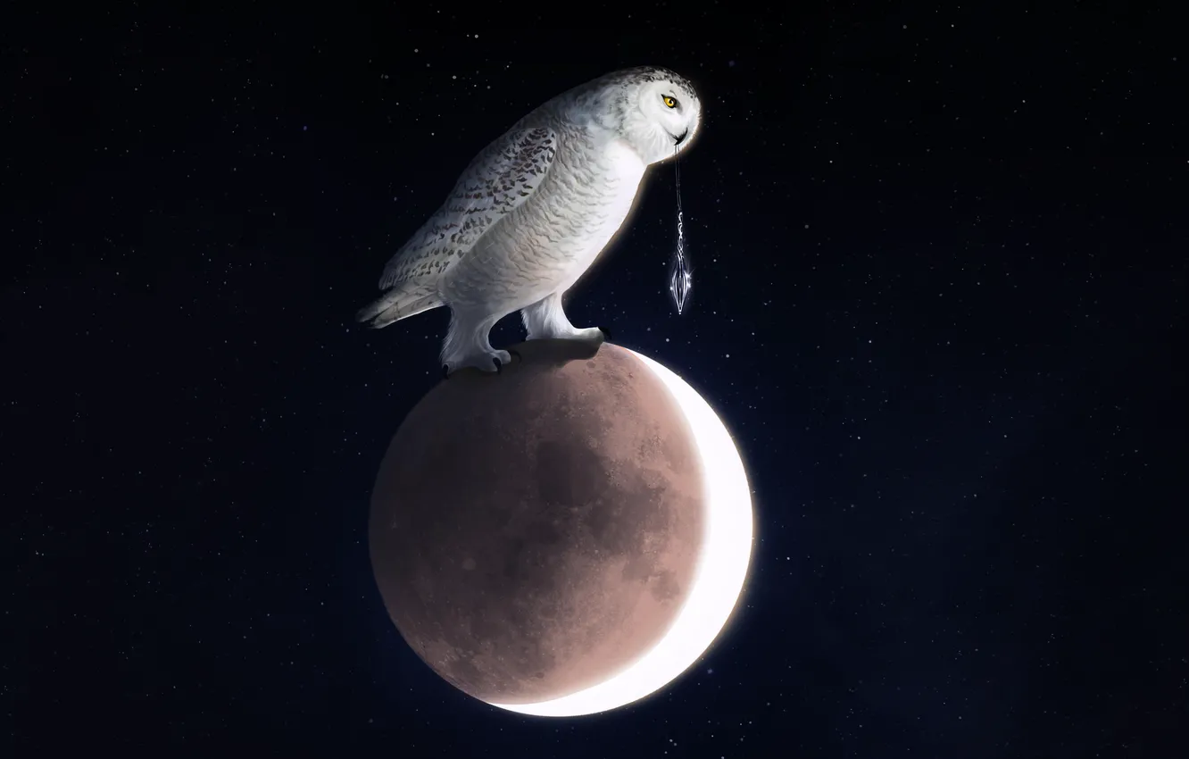 Photo wallpaper Owl, Bird, The moon, Space, Art, Owl, Into The Bear, by Into The Bear