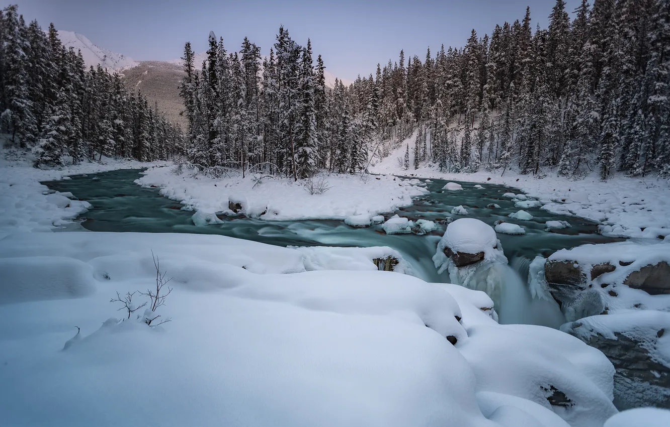 Photo wallpaper winter, forest, snow, trees, river, Canada, Albert, Alberta