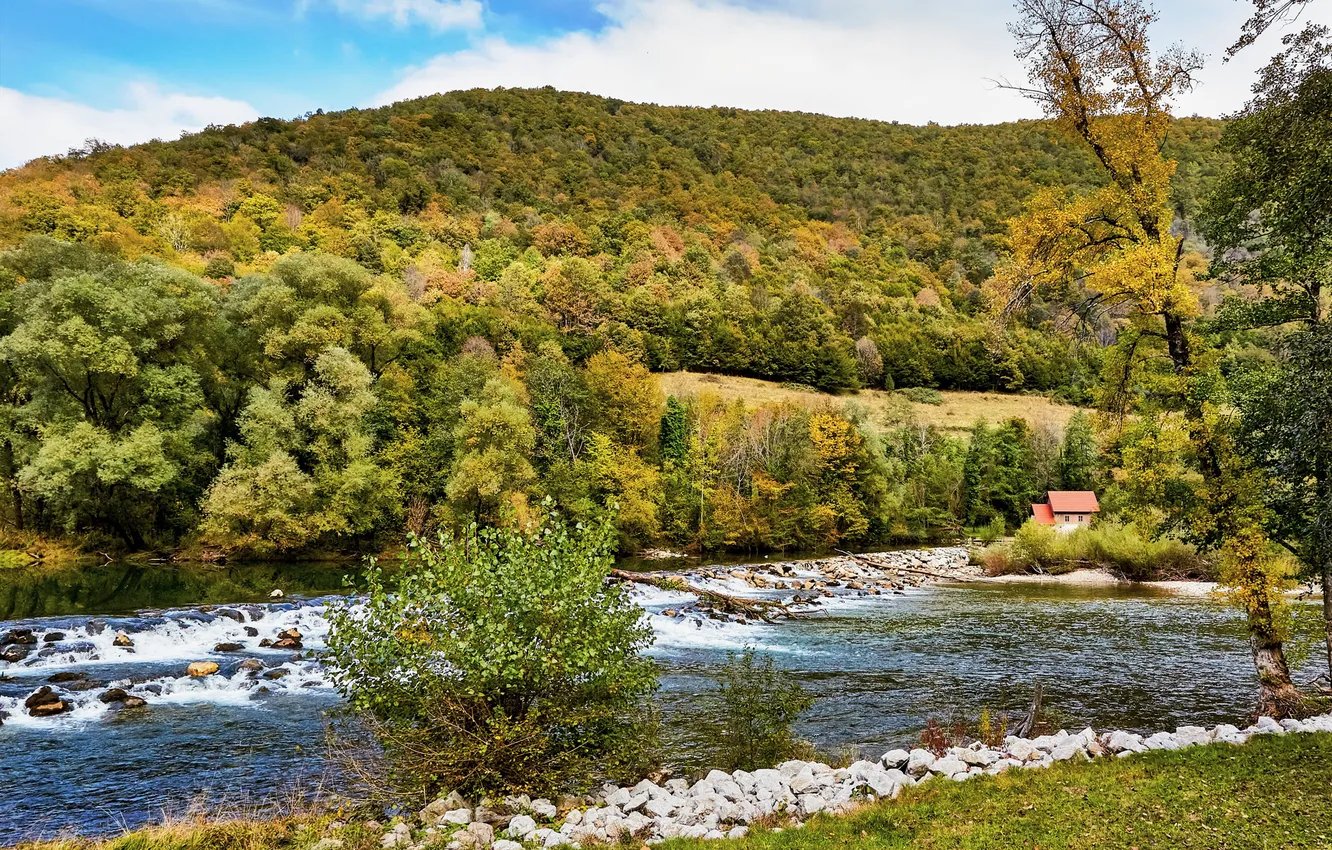 Photo wallpaper photo, Nature, Autumn, River, Forest, Hills, Croatia, Gorski-kotar