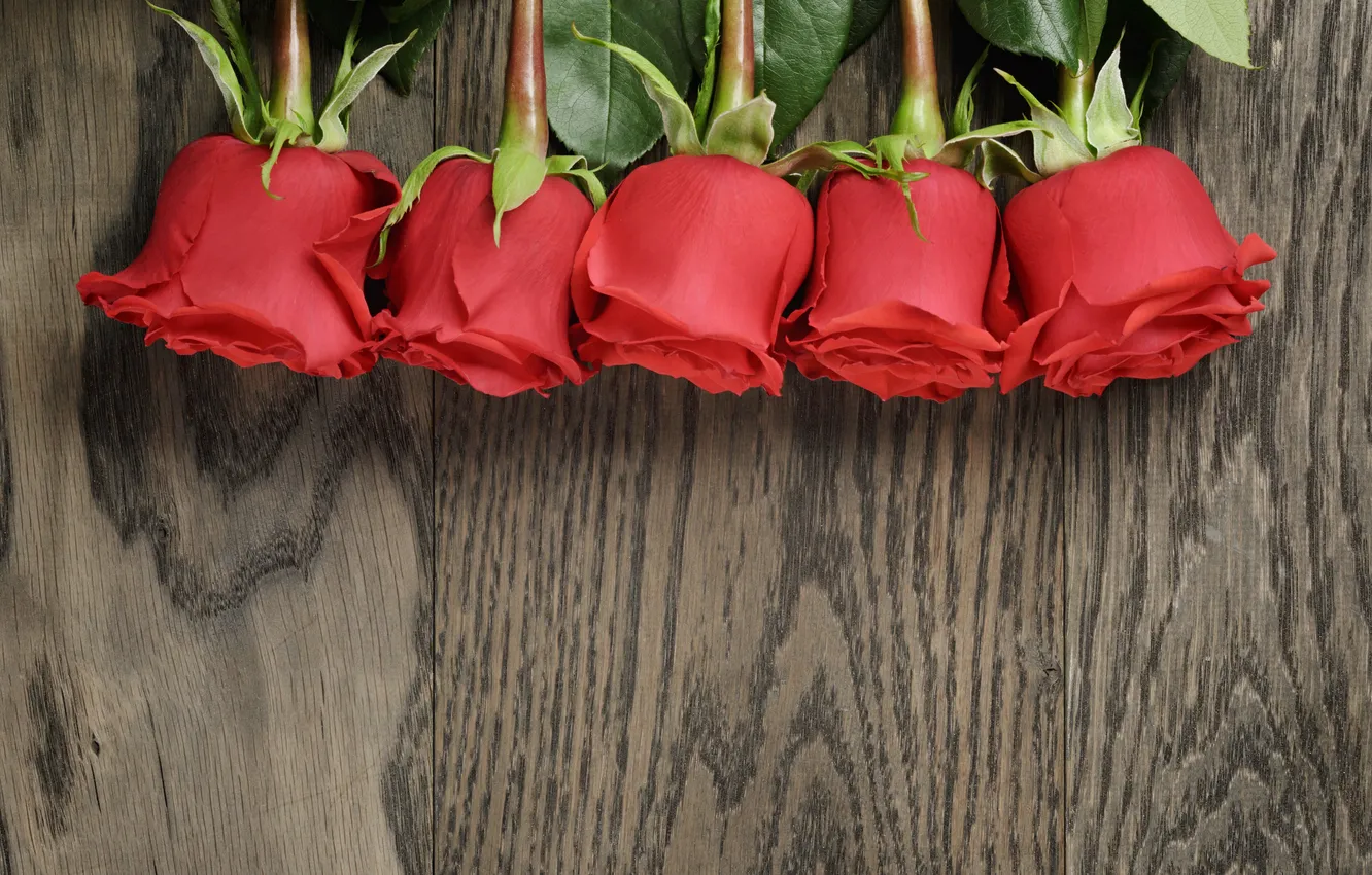 Photo wallpaper bouquet, red, wood, romantic, roses, red roses