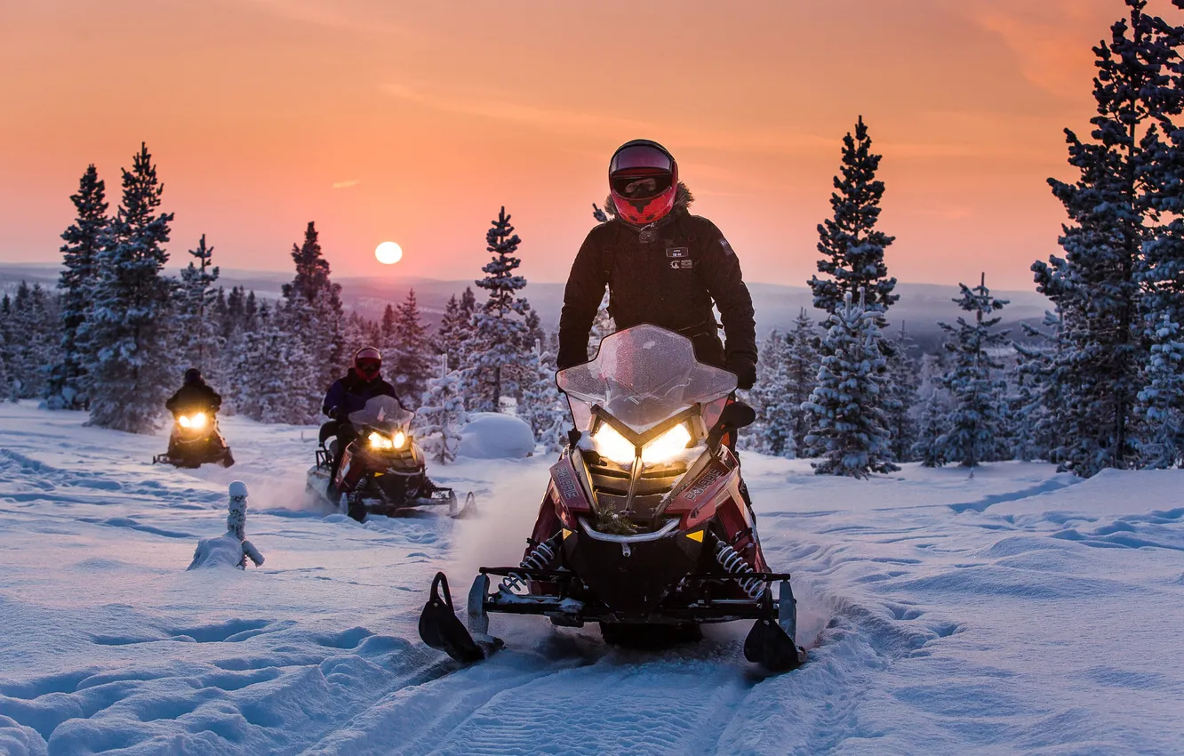 Photo wallpaper winter, snow, tree, Northern lights, male, snowmobile, Finland, Finland