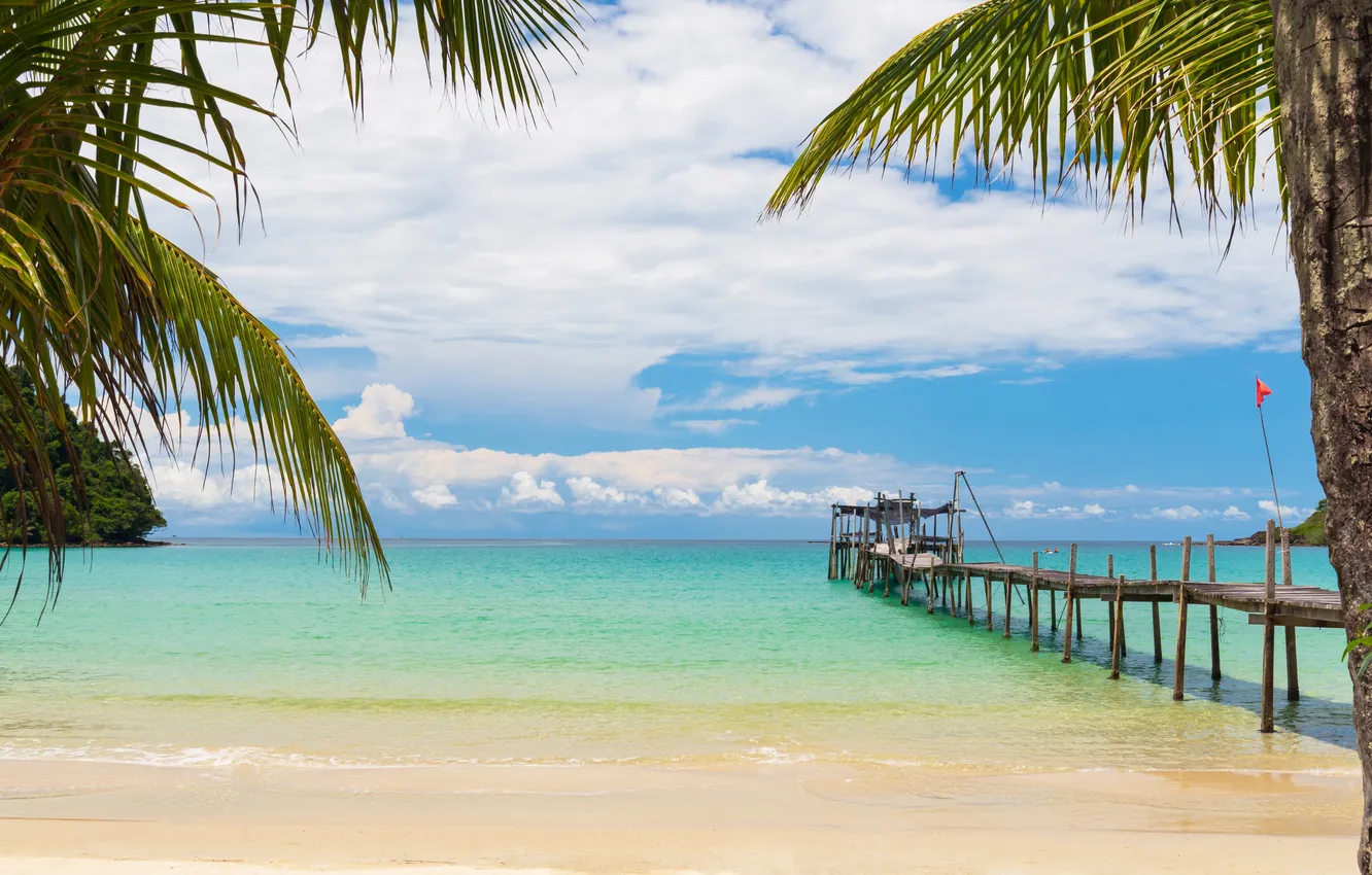 Photo wallpaper sand, sea, beach, summer, the sky, palm trees, summer, beach