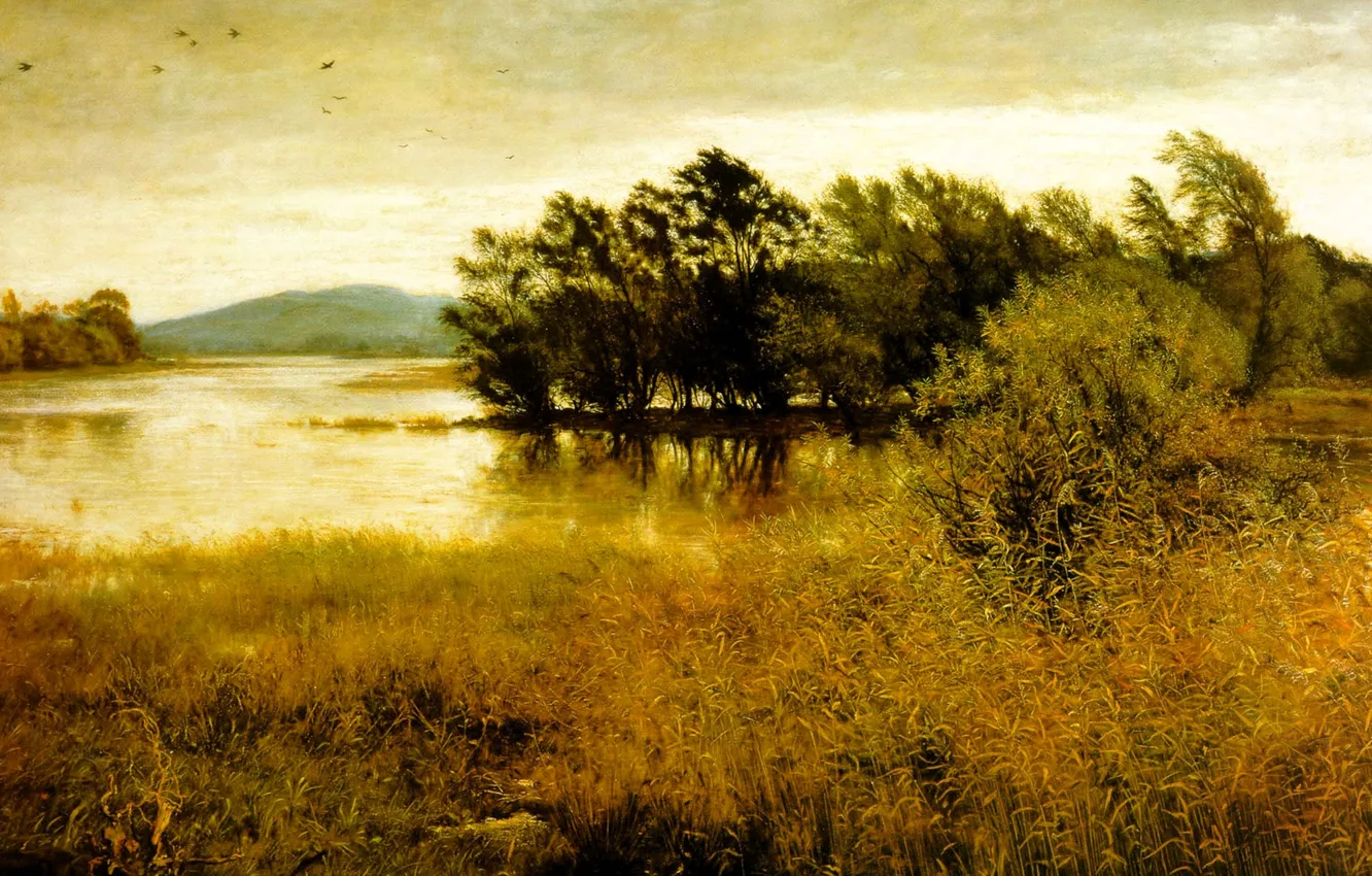 Photo wallpaper grass, trees, clouds, nature, lake, the wind, reed