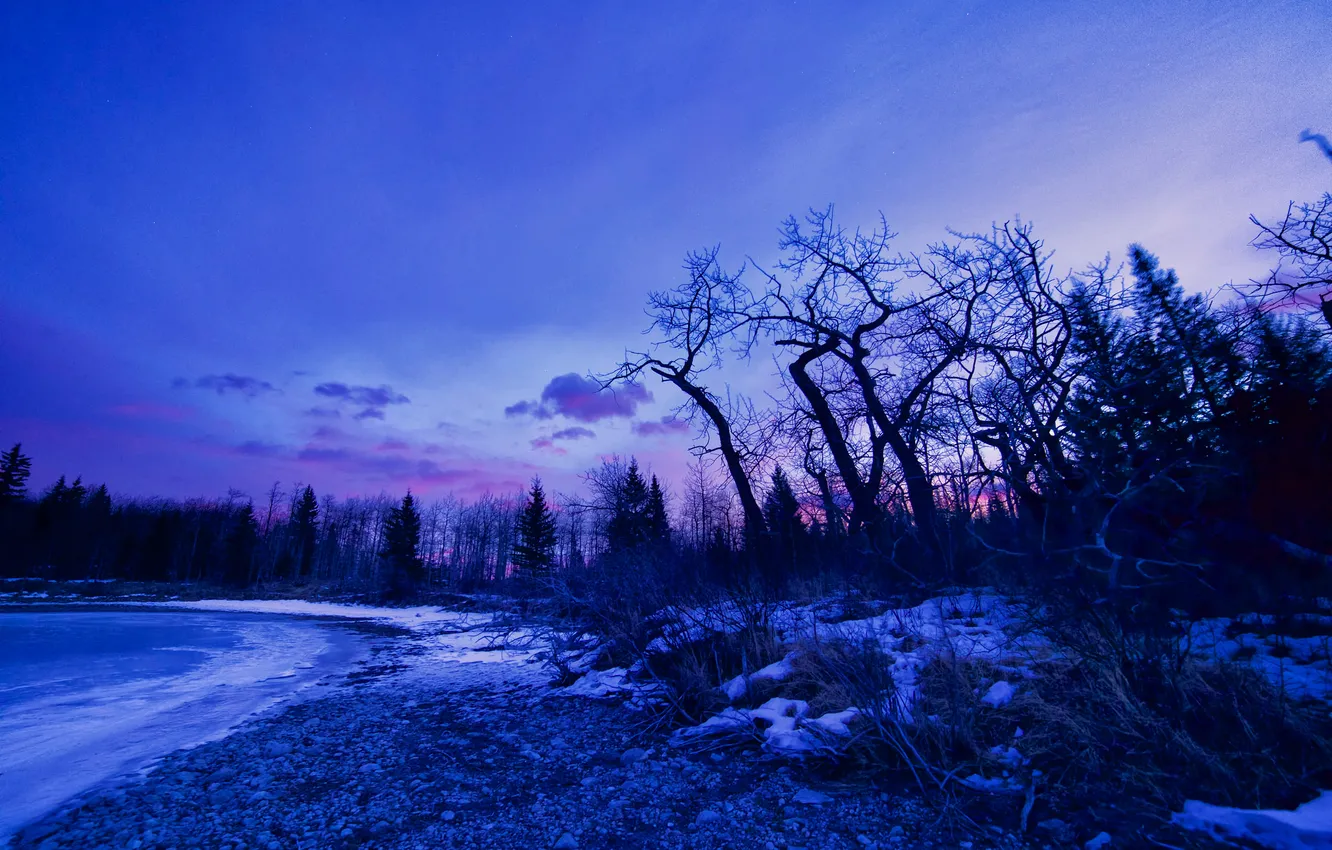 Photo wallpaper winter, snow, trees, lake, dawn, glow