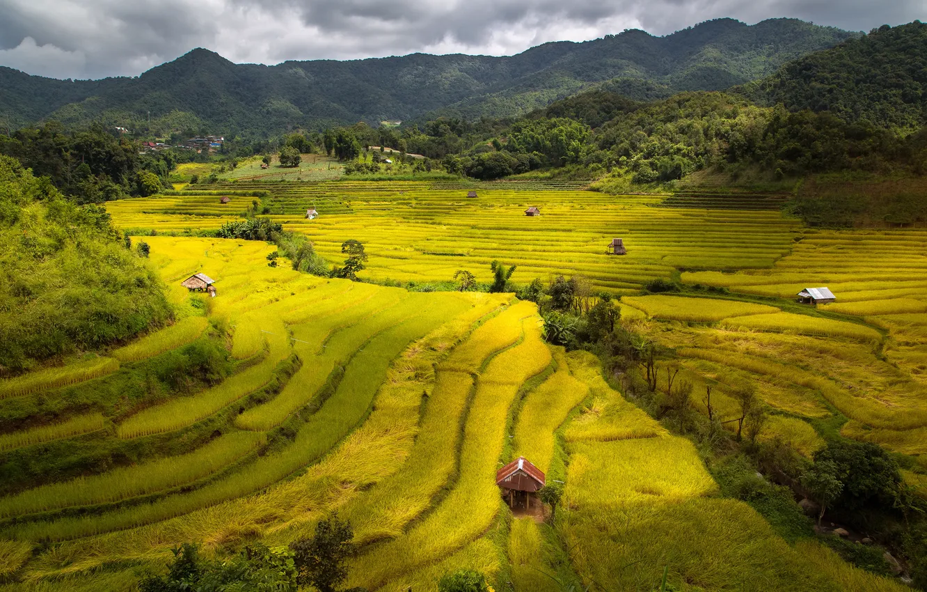 Photo wallpaper greens, field, forest, the sun, clouds, mountains, house, Vietnam