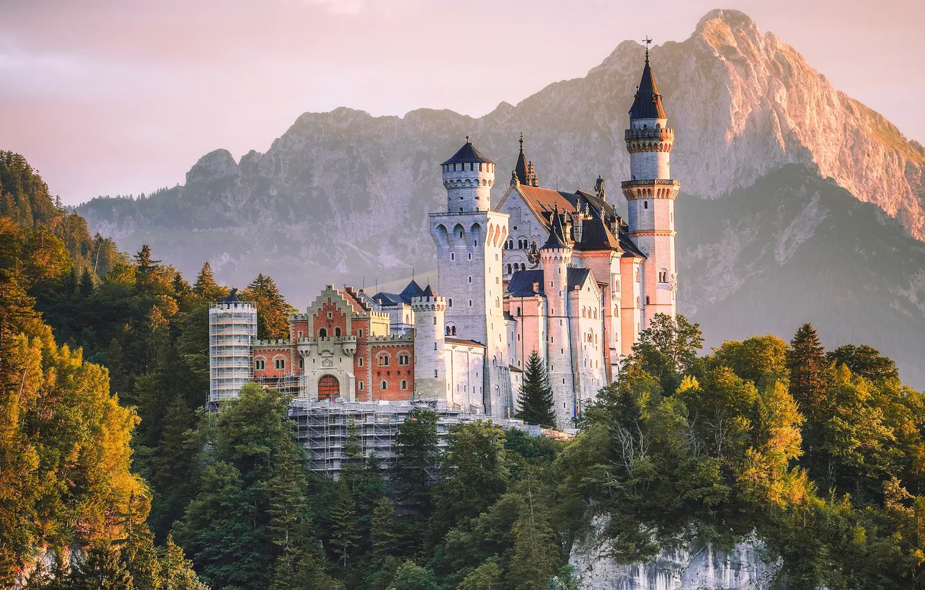 Photo wallpaper autumn, forest, the sky, light, trees, old, fog, castle