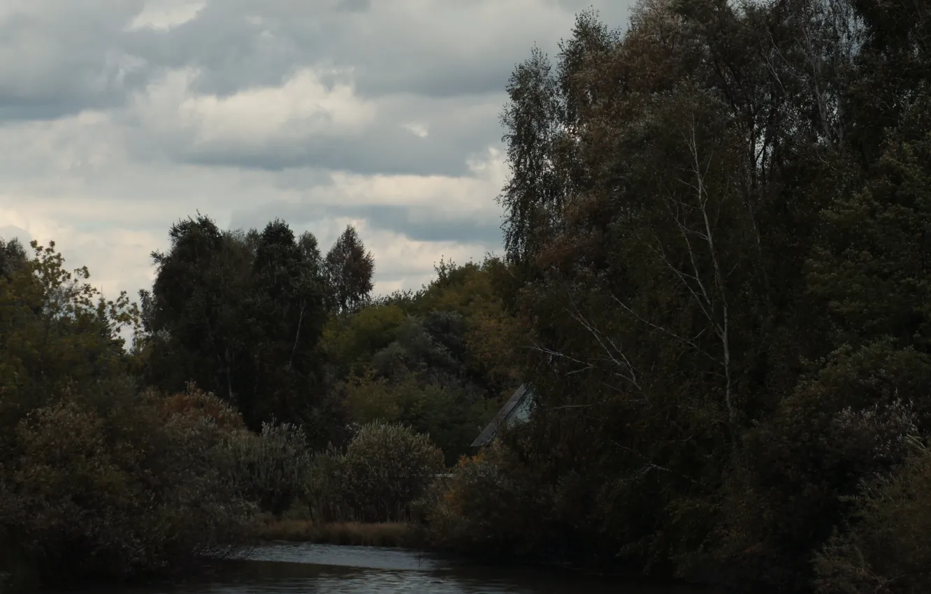 Photo wallpaper trees, lake, the evening, bad weather