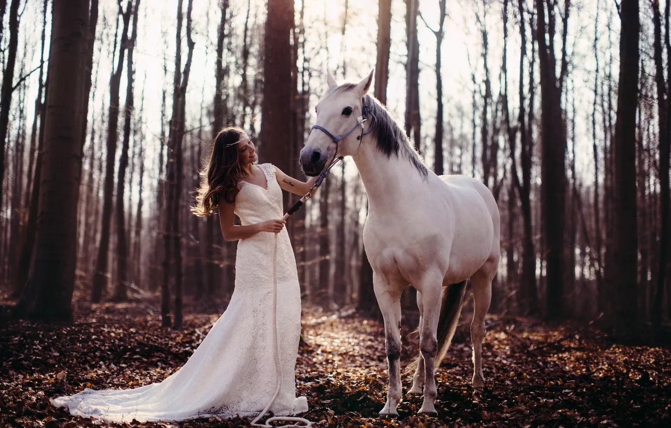 Photo wallpaper forest, girl, horse