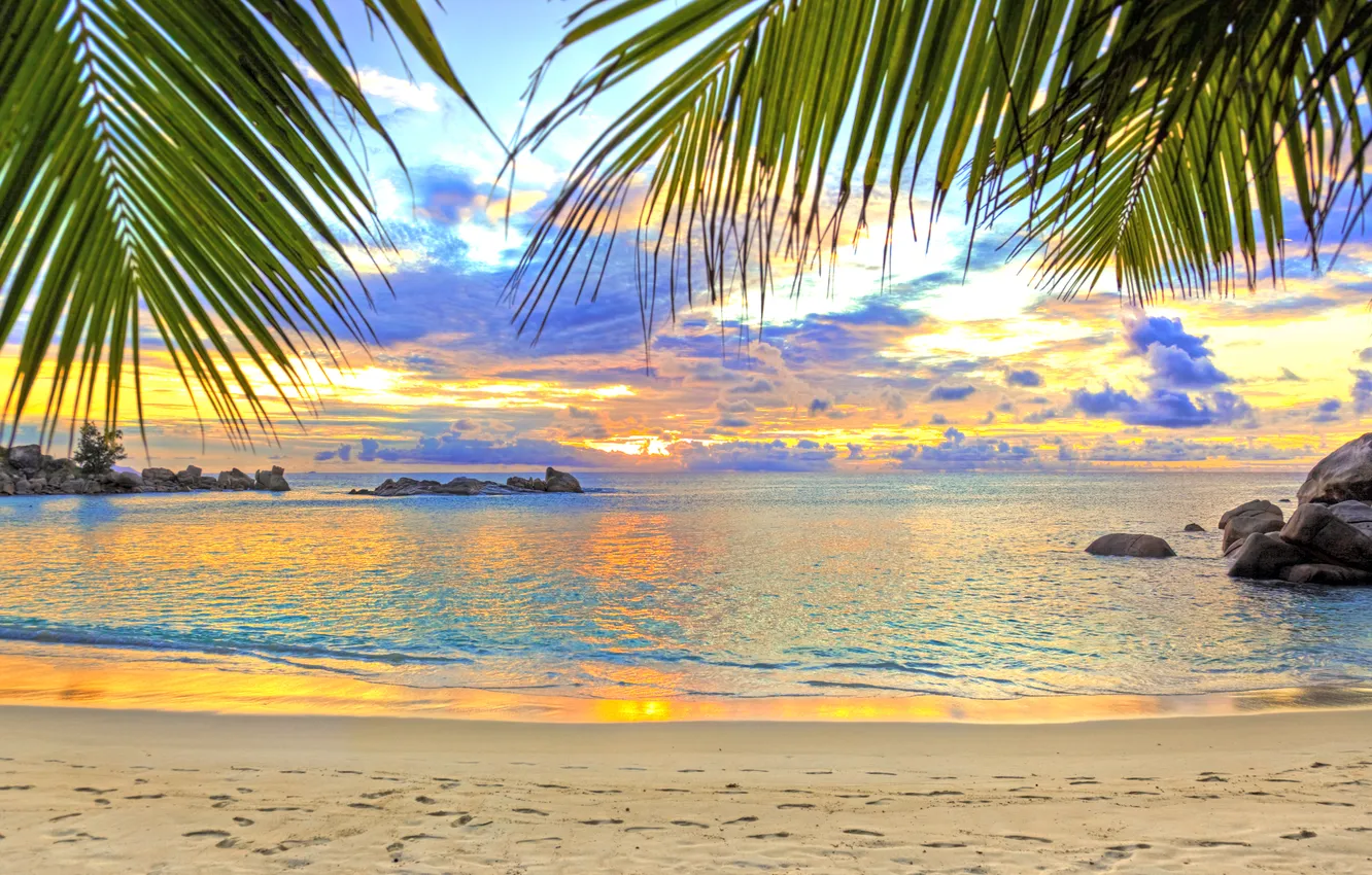 Photo wallpaper beach, sunset, tropics, palm trees, the ocean, shore, Bay, the evening