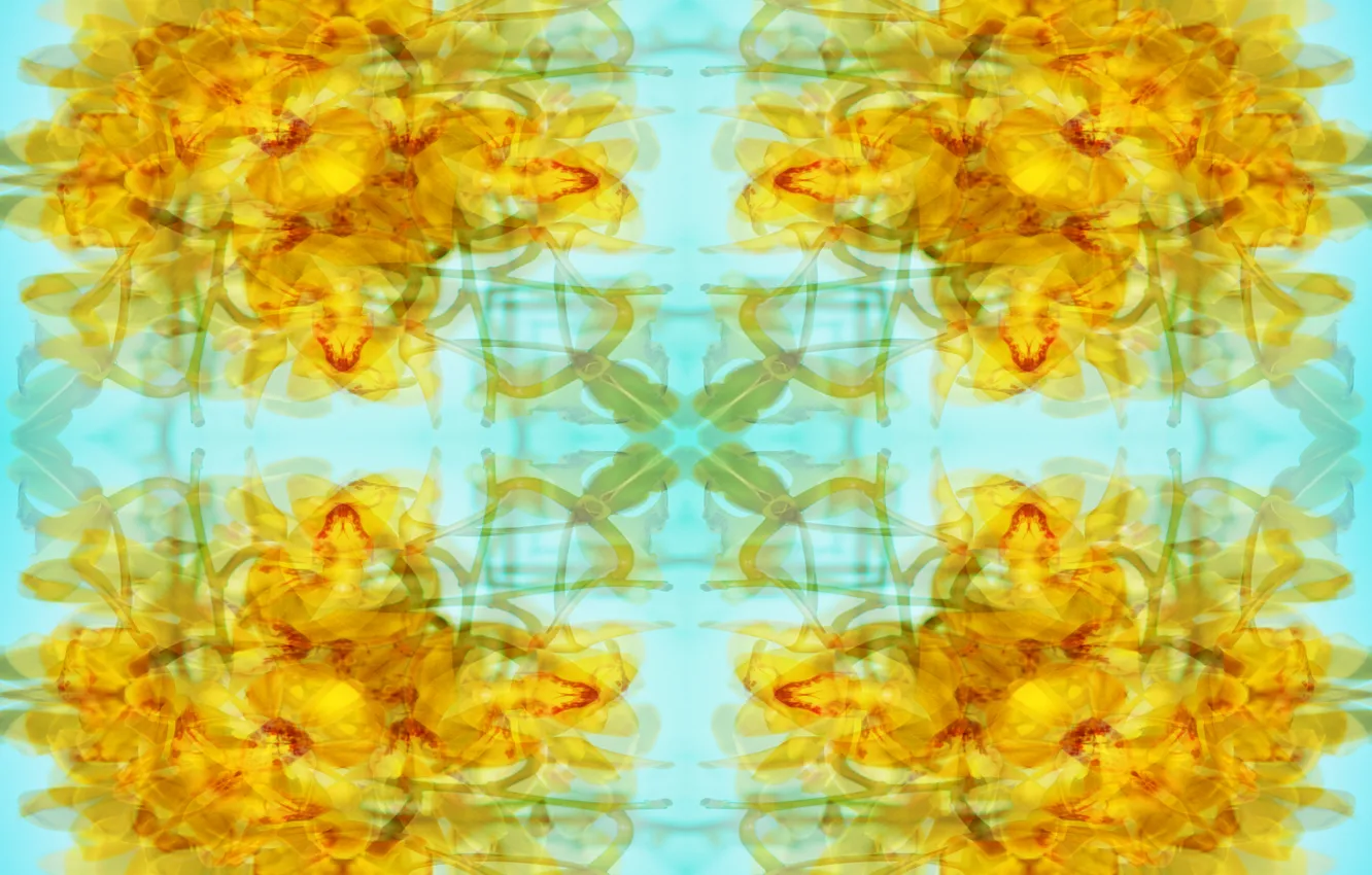 Photo wallpaper design, art, pattern