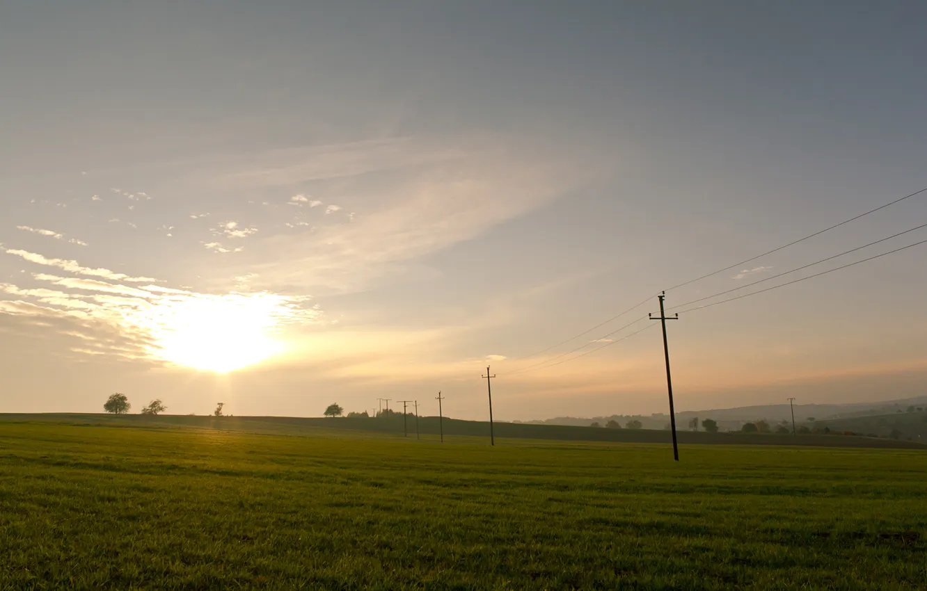 Photo wallpaper field, grass, landscape, photo