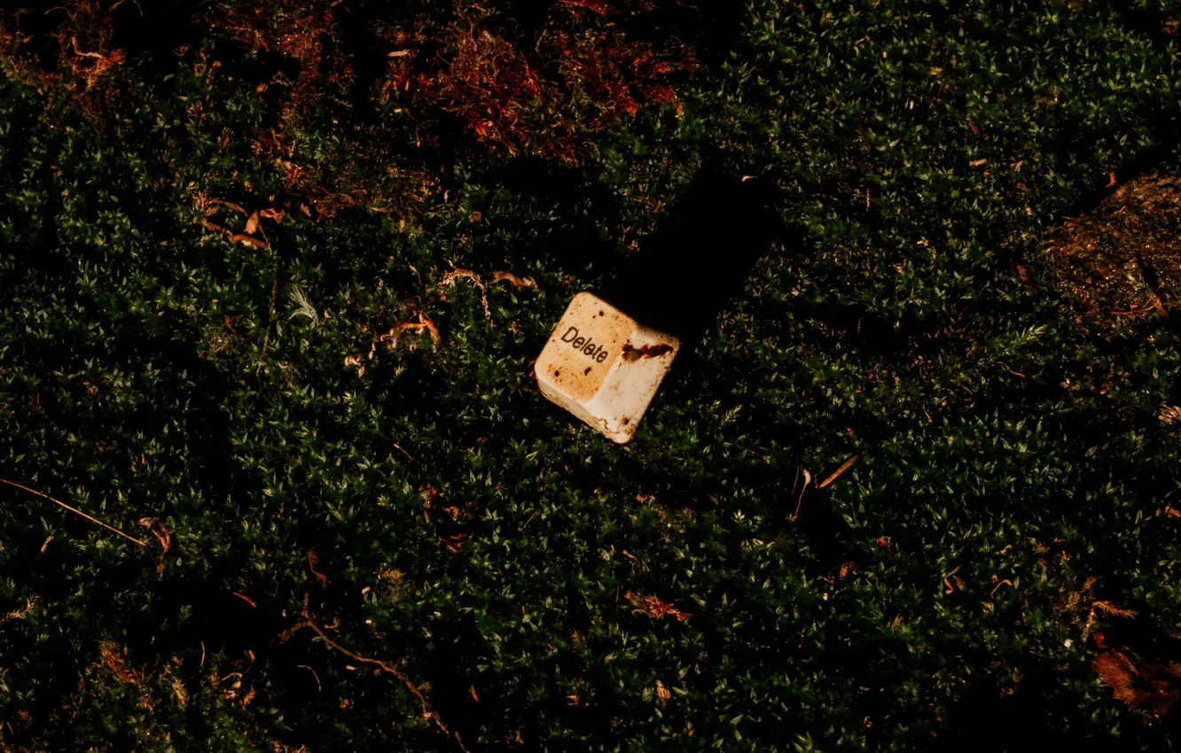 Photo wallpaper computer, nature, technology