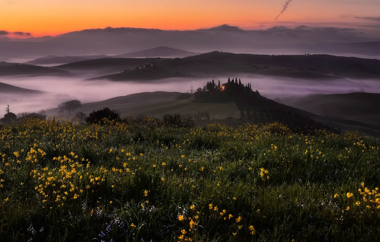 Photo wallpaper field, night, fog