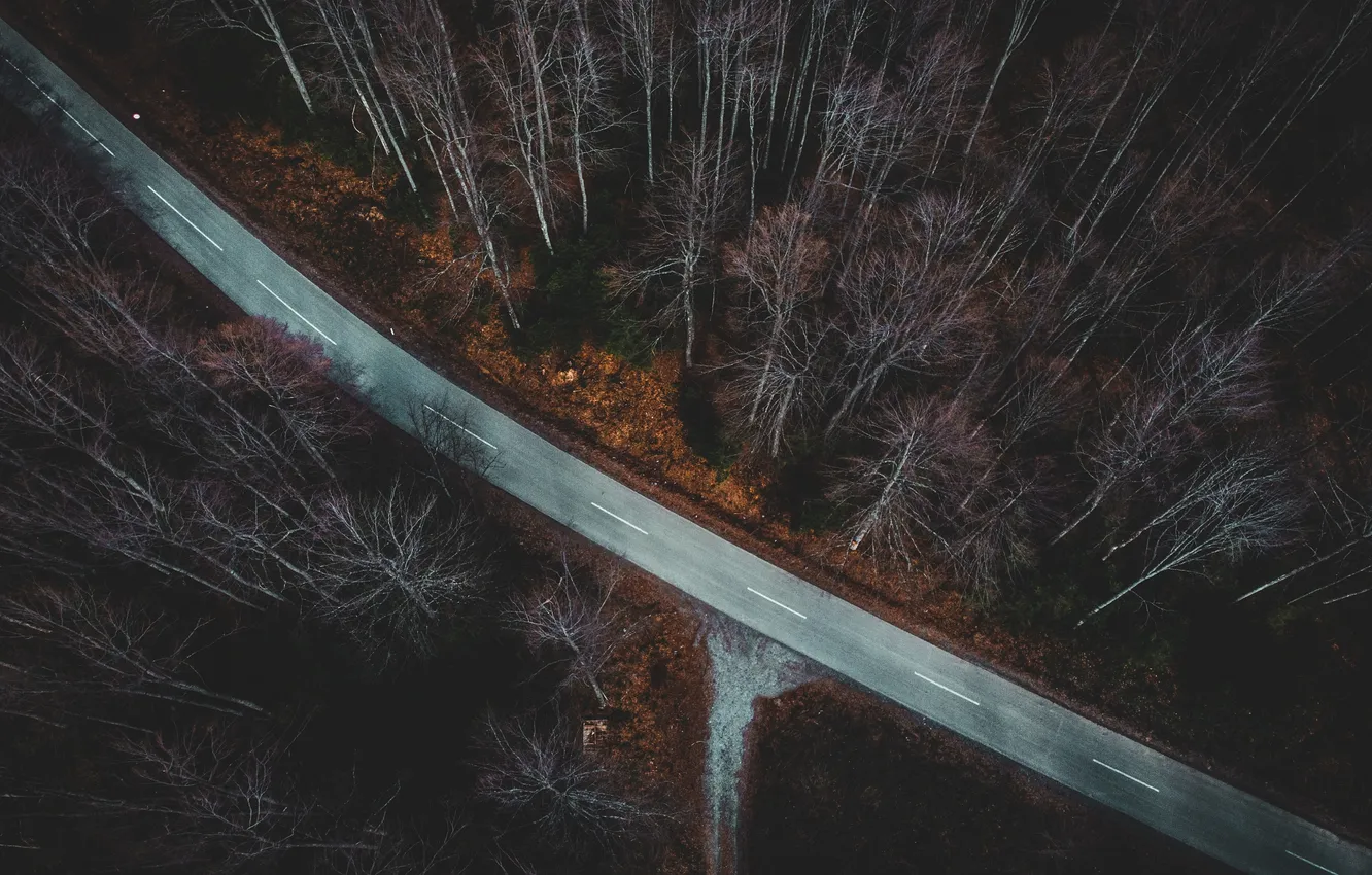 Photo wallpaper road, autumn, forest, the view from the top