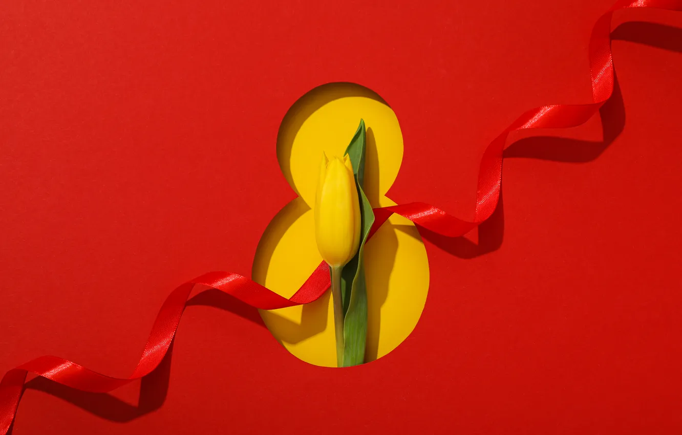 Photo wallpaper flowers, figures, tulips, red, March 8, red background, flowers, tulips