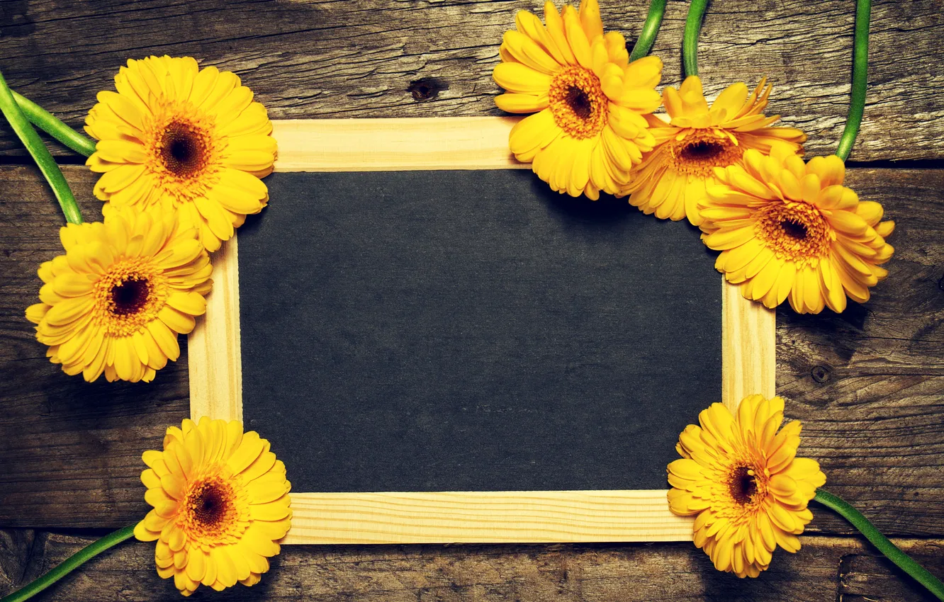 Photo wallpaper flowers, yellow, Board, gerbera, yellow, wood, flowers, gerbera
