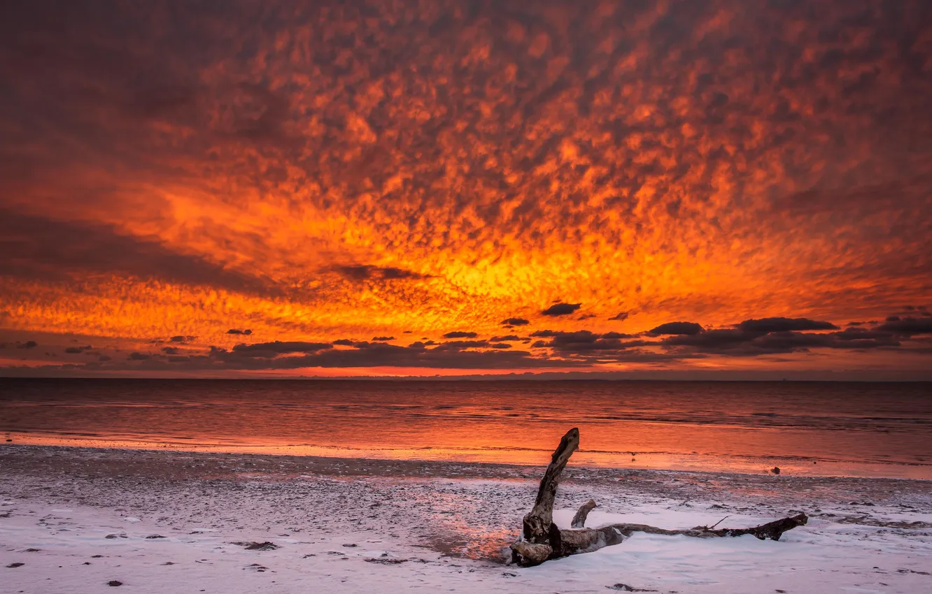 Photo wallpaper winter, beach, the sky, snow, the ocean, dawn