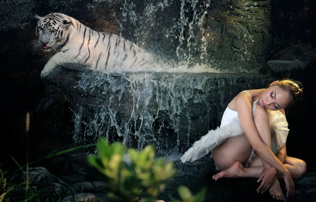 Photo wallpaper girl, tiger, background