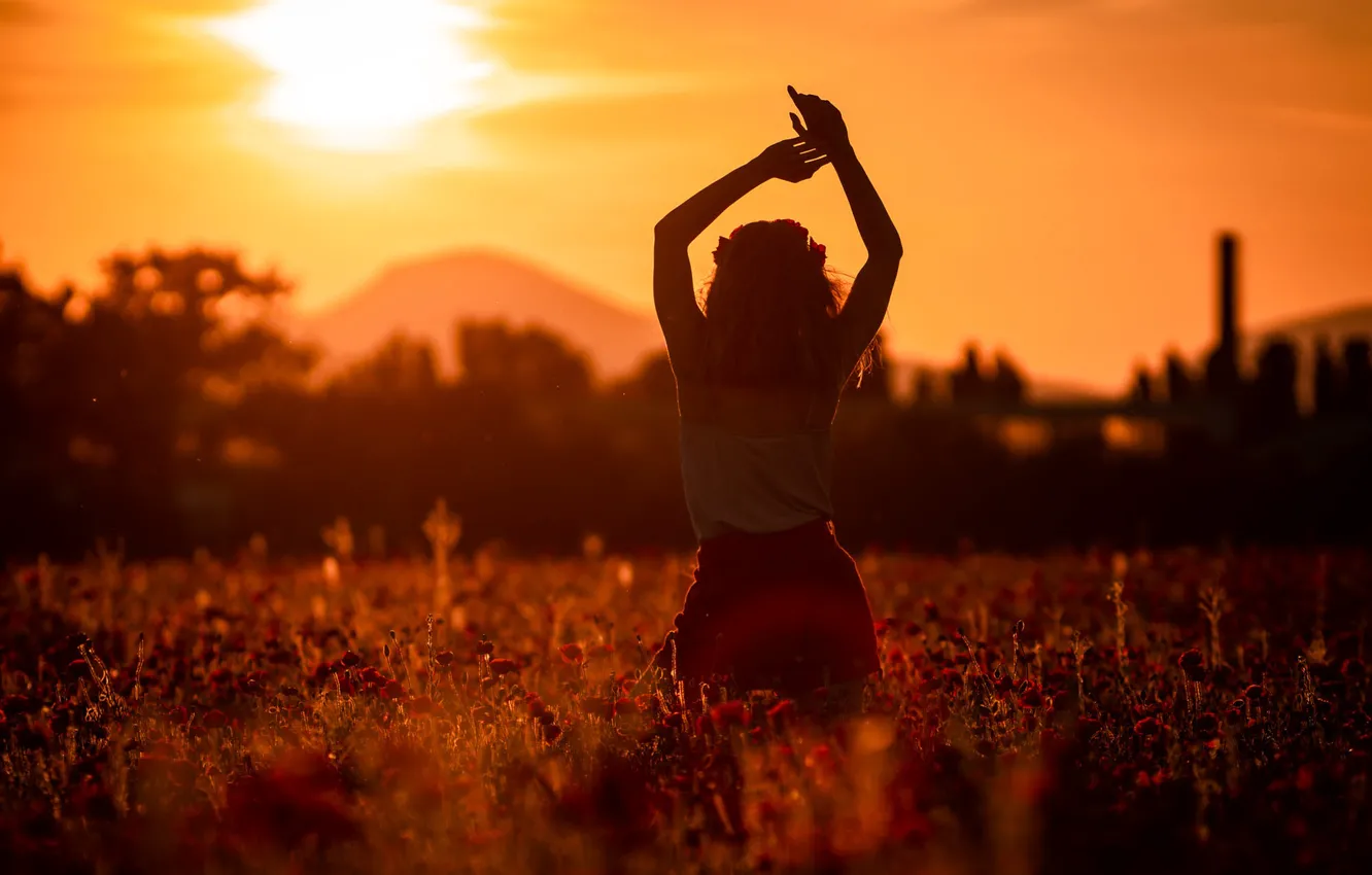 Photo wallpaper field, summer, the sky, girl, light, sunset, flowers, pose