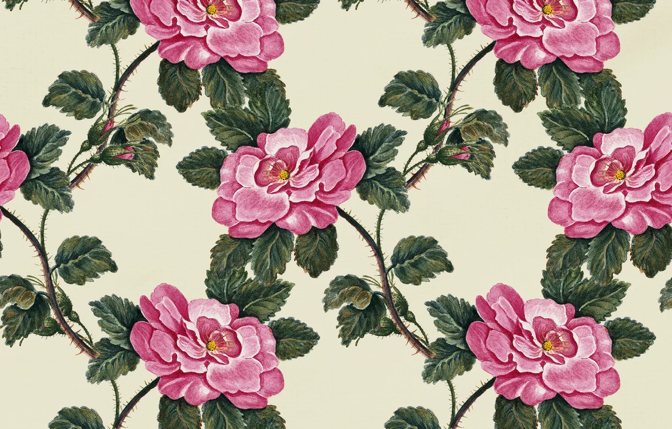 Photo wallpaper flowers, background, texture, vintage, flowers, background, roses