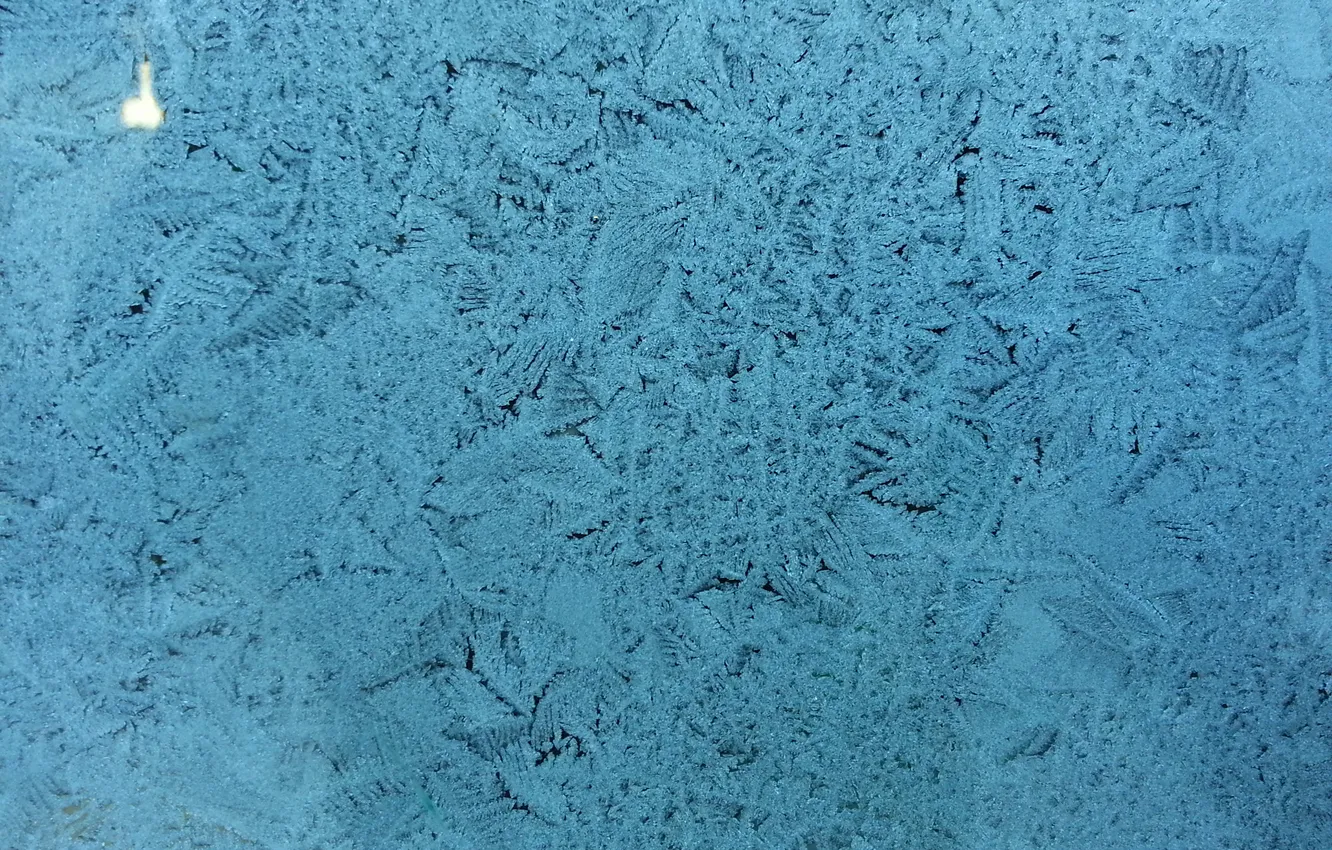 Photo wallpaper winter, macro, Frost, frost
