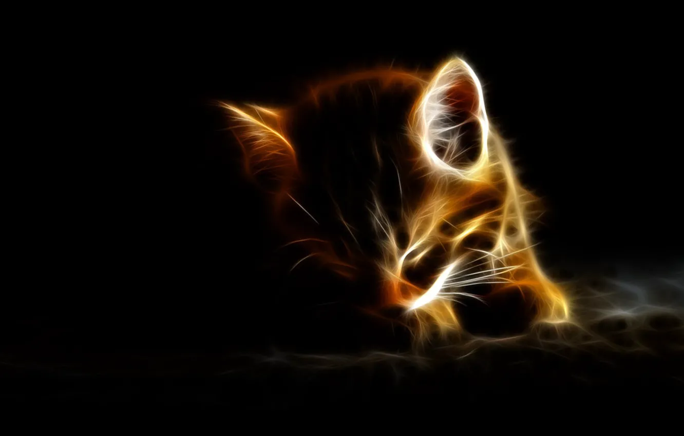 Photo wallpaper cat, background, dark