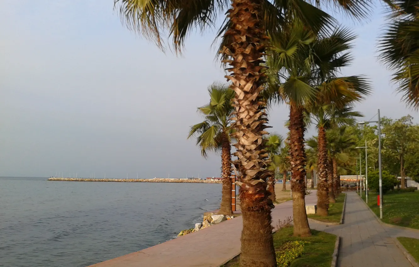 Photo wallpaper palm trees, shore, Turkey