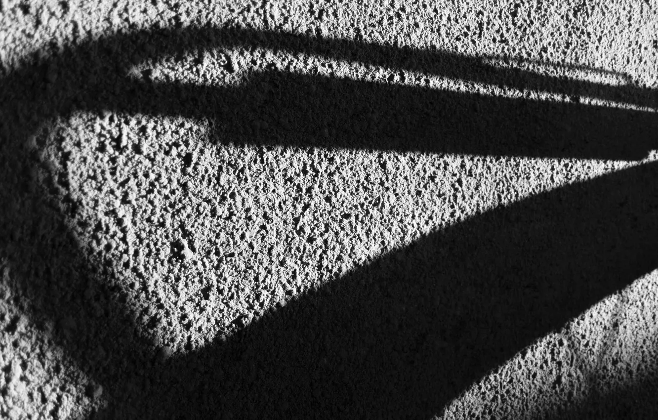 Photo wallpaper light, line, wall, mood, shadow, texture, black and white, geometry